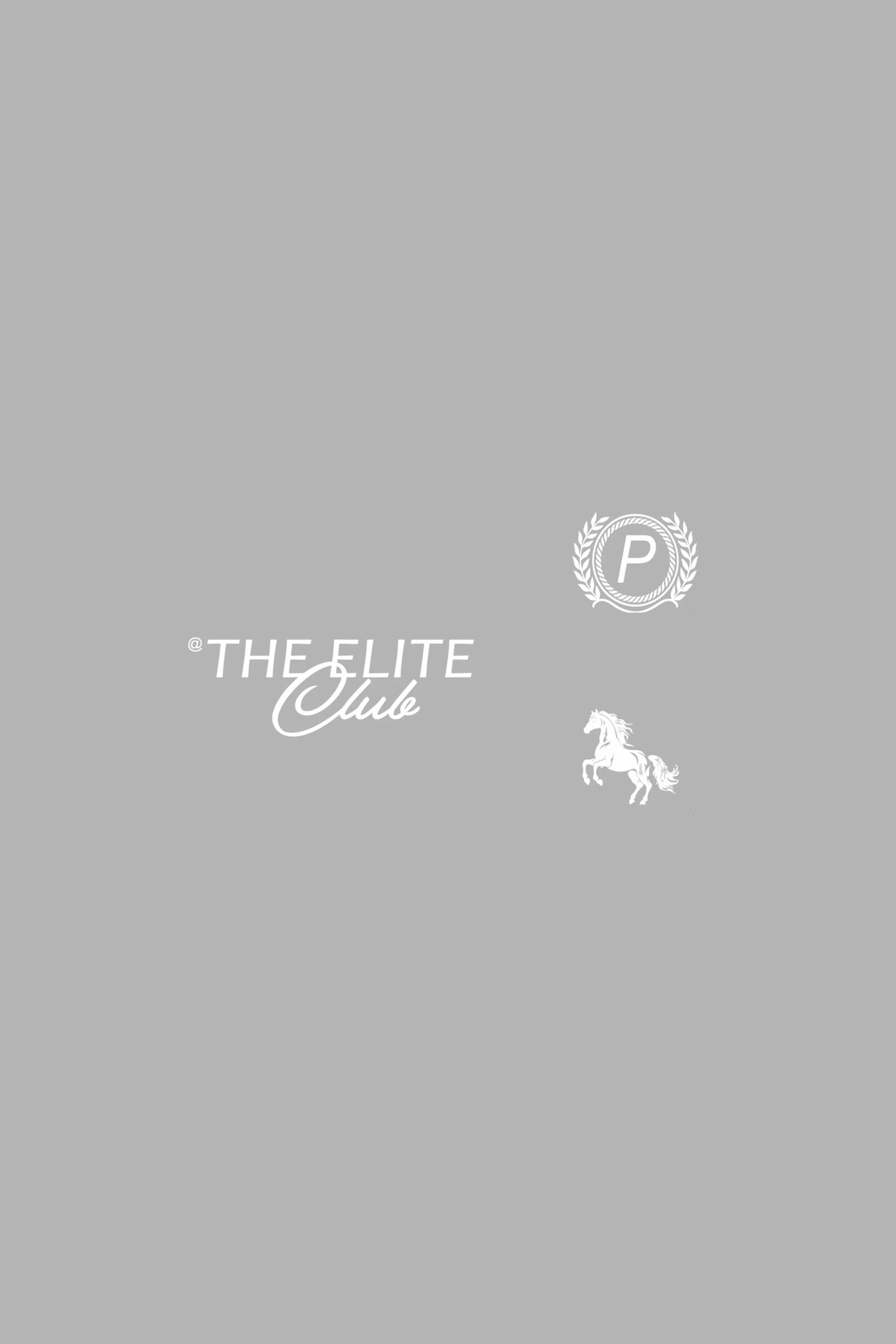 Elite Blue Polo Tshirt - Image 3